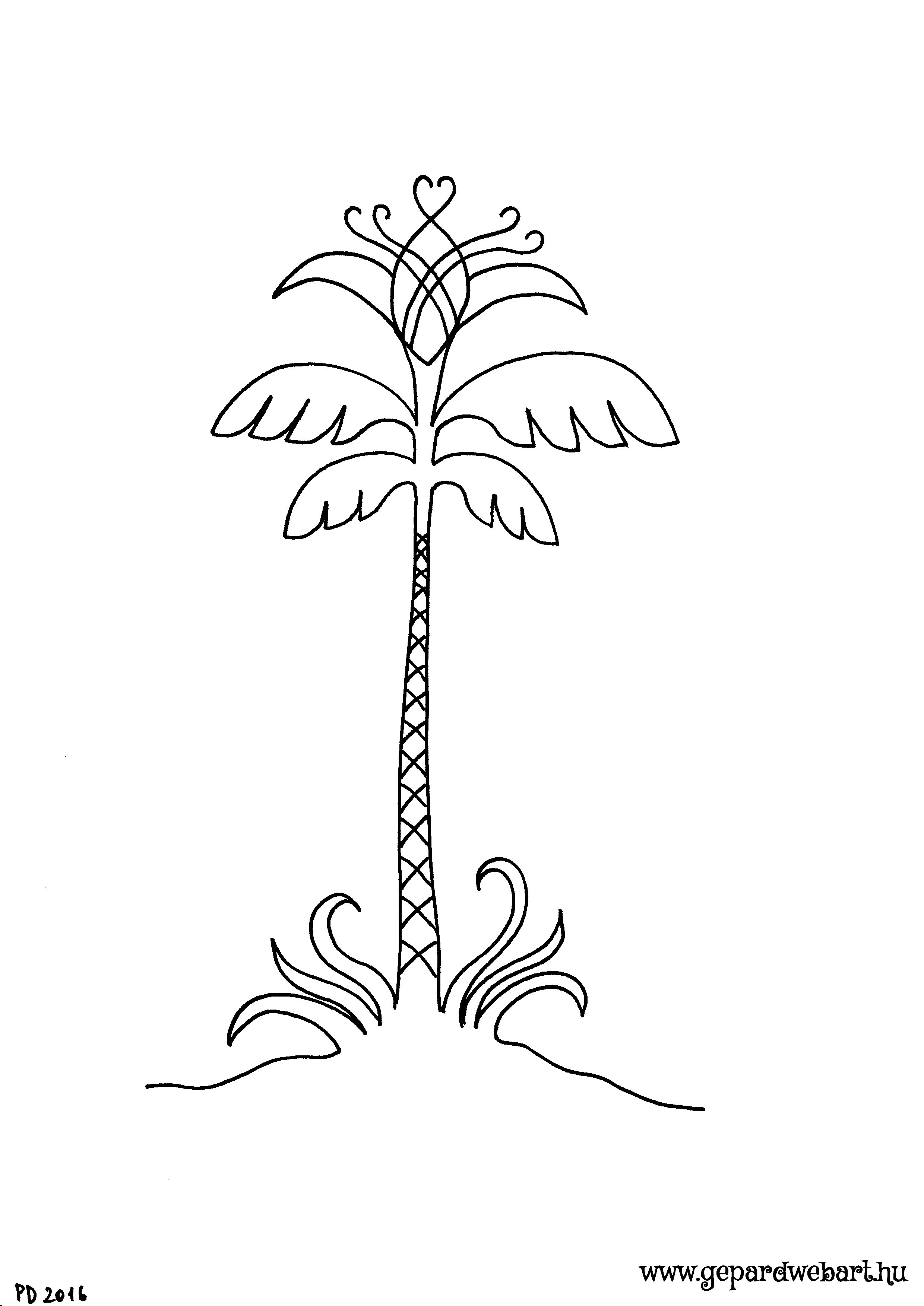 pálmafa kiszínező